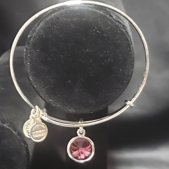 NWOT Alex & Ani RS February Swarovski Bracelet - Picture 6 of 11